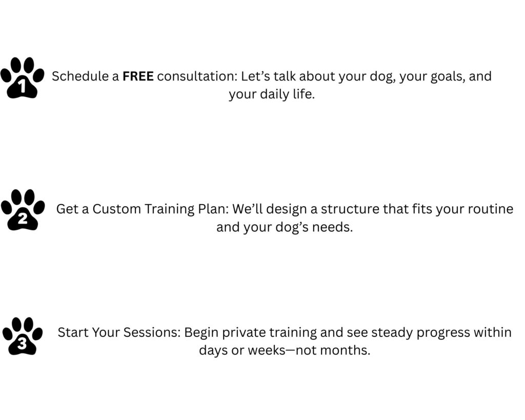 A visually engaging graphic outlining three steps to start dog training with K10 Academy: schedule a free consultation, get a custom training plan, and start training sessions.