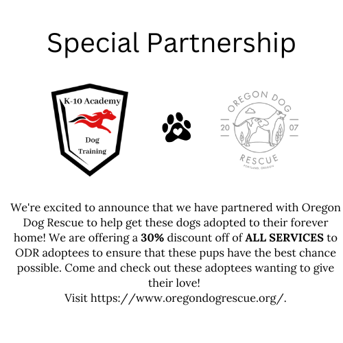 Promotional graphic for K10 Academy Dog Training partnering with Oregon Dog Rescue, including logos and a message about a 30% discount for ODR adoptees.